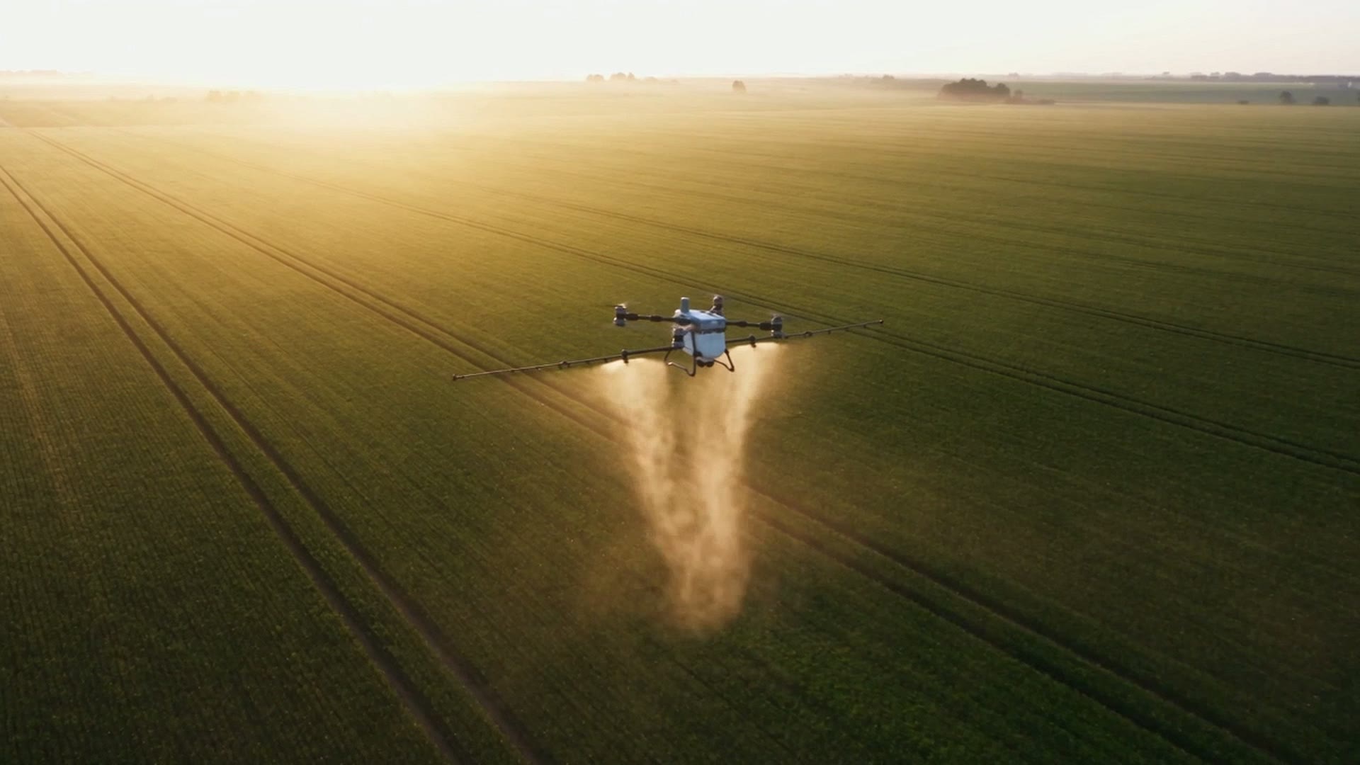 Il drone agricolo all'alba sopra un campo di grano, con la nube del trattamento controluce