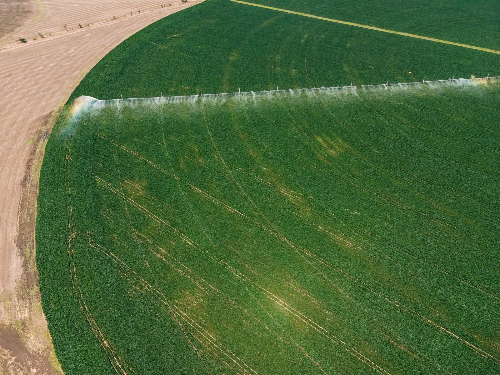 Il pivot che irriga il campo, visto dall'alto