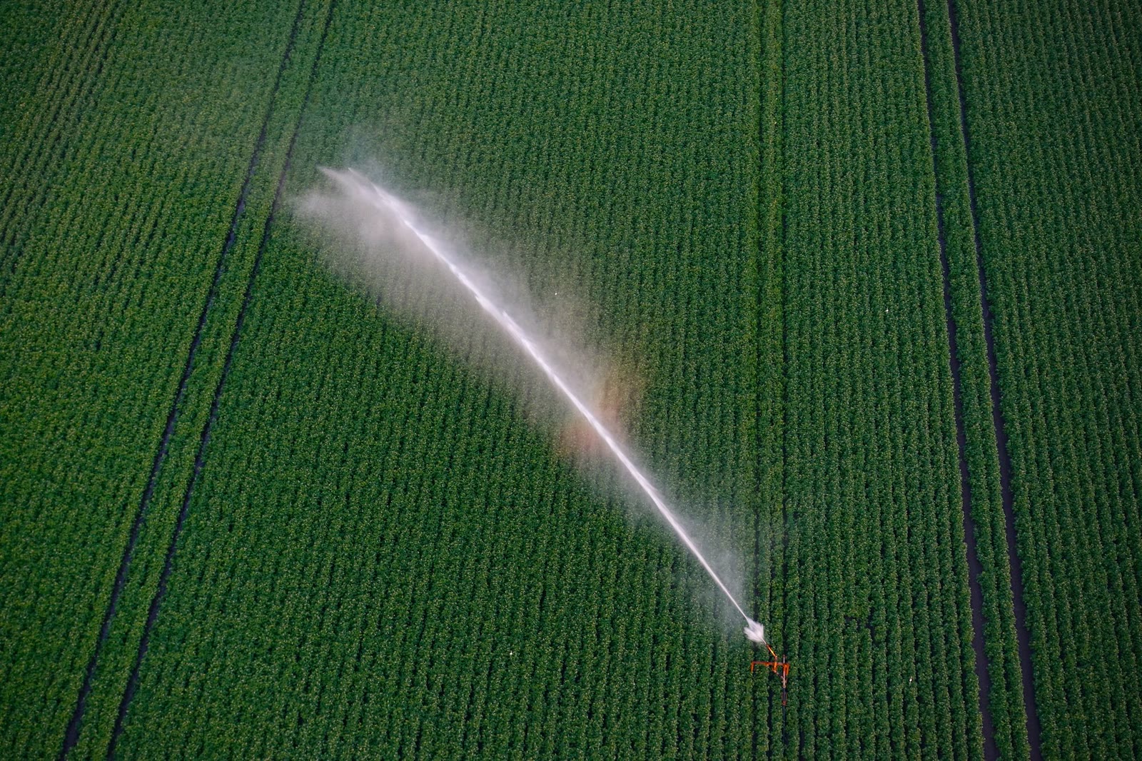 Vista aerea di un impianto di irrigazione a pivot su un campo al tramonto