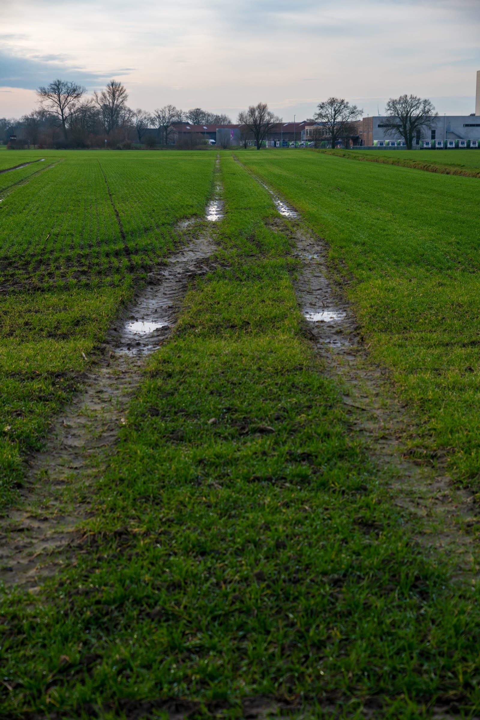 Tracce di ruote nel campo bagnato, al crepuscolo