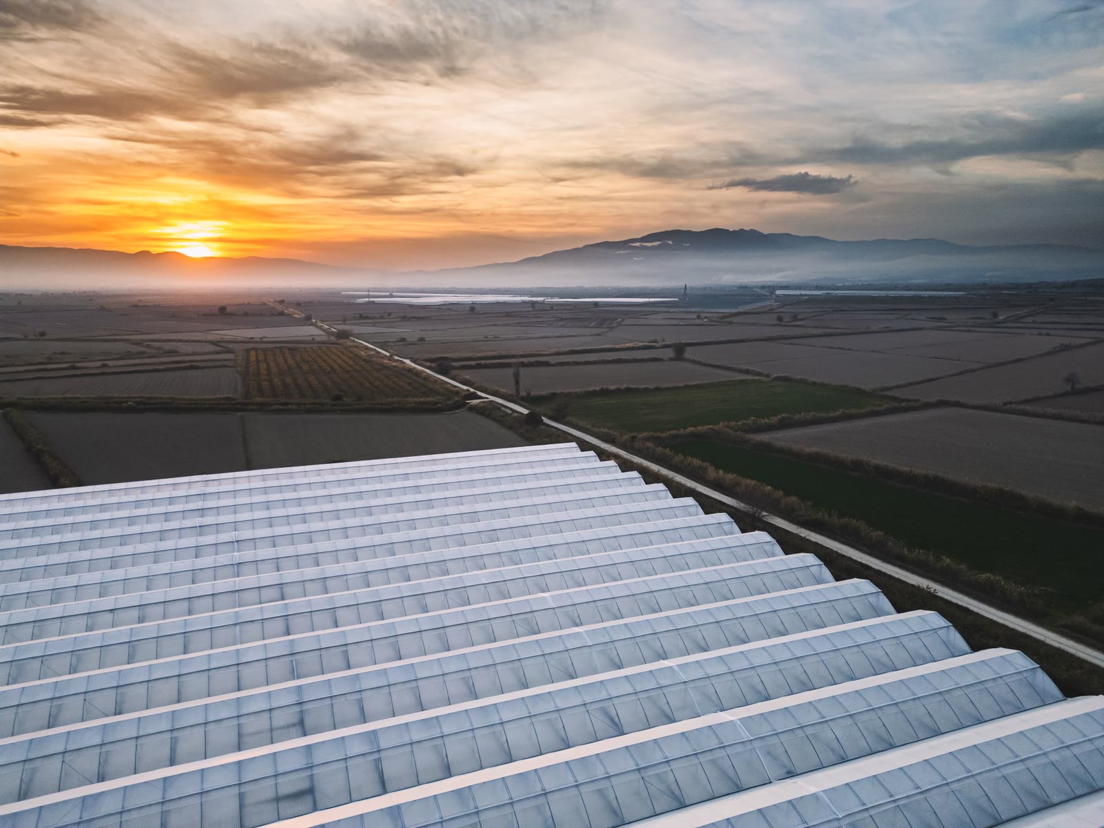 File di serre viste dall'alto, con le coperture che riflettono il cielo